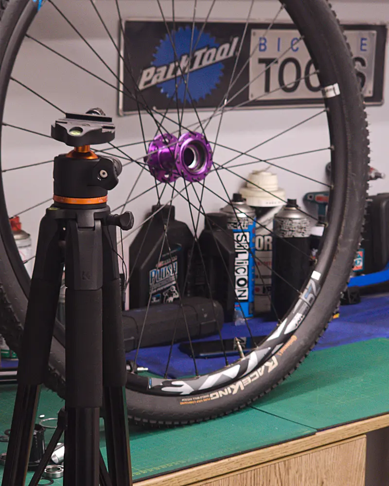 Rear hub mounted on the bike with disc rotor — BikeLab Studio · Carlos Eduardo Ravello Joo