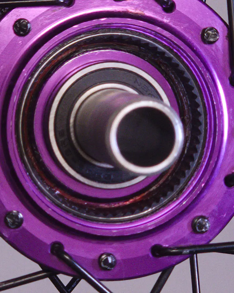 Bearings, seals and freehub in exploded view — BikeLab Studio · Carlos Eduardo Ravello Joo